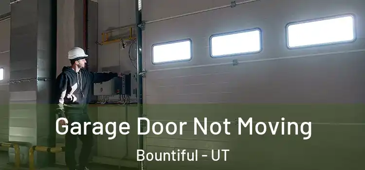  Garage Door Not Moving Bountiful - UT