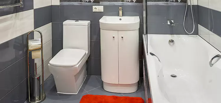 Hansgrohe Shaving Mirror Bountiful